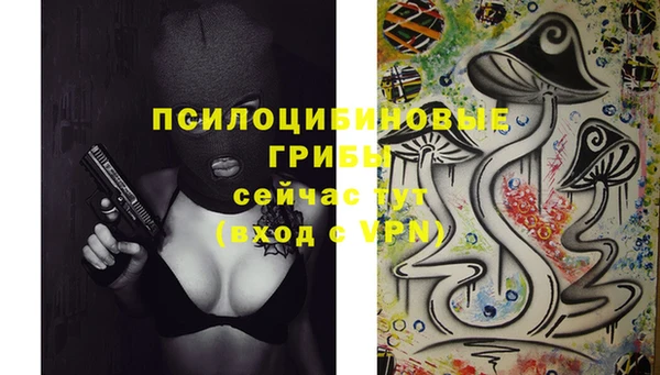 спиды Зеленокумск