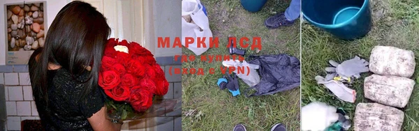 спиды Зеленокумск