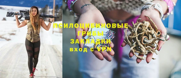 спиды Зеленокумск