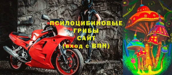 спиды Зеленокумск